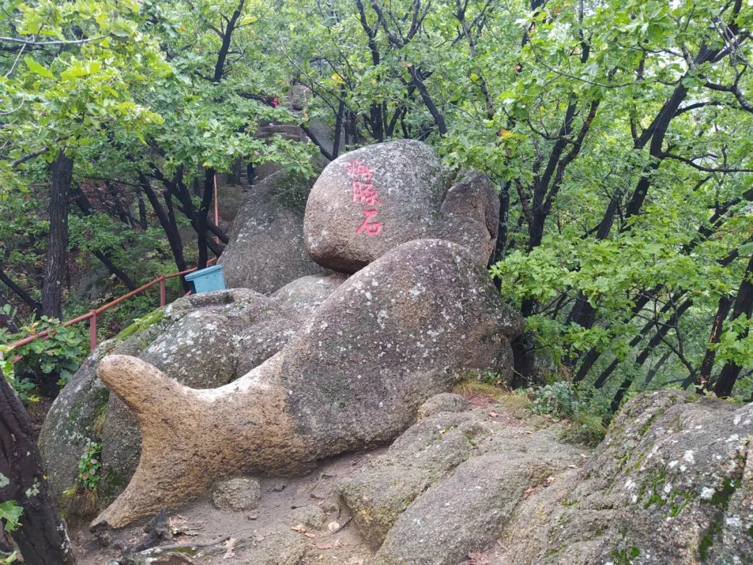 朱雀山|吉林市这座山怪石嶙峋、险峻陡峭，很多外地游客都来打卡