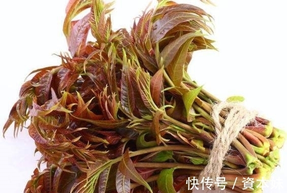 炒鸡蛋|树上一种嫩芽,用来炒鸡蛋是一绝,营养丰富价值高,你可吃过?