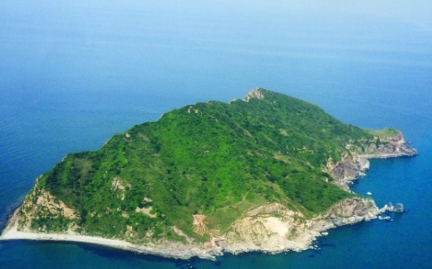 中国有多少个蛇岛，为何大连蛇岛上的蛇越来越凶猛？
