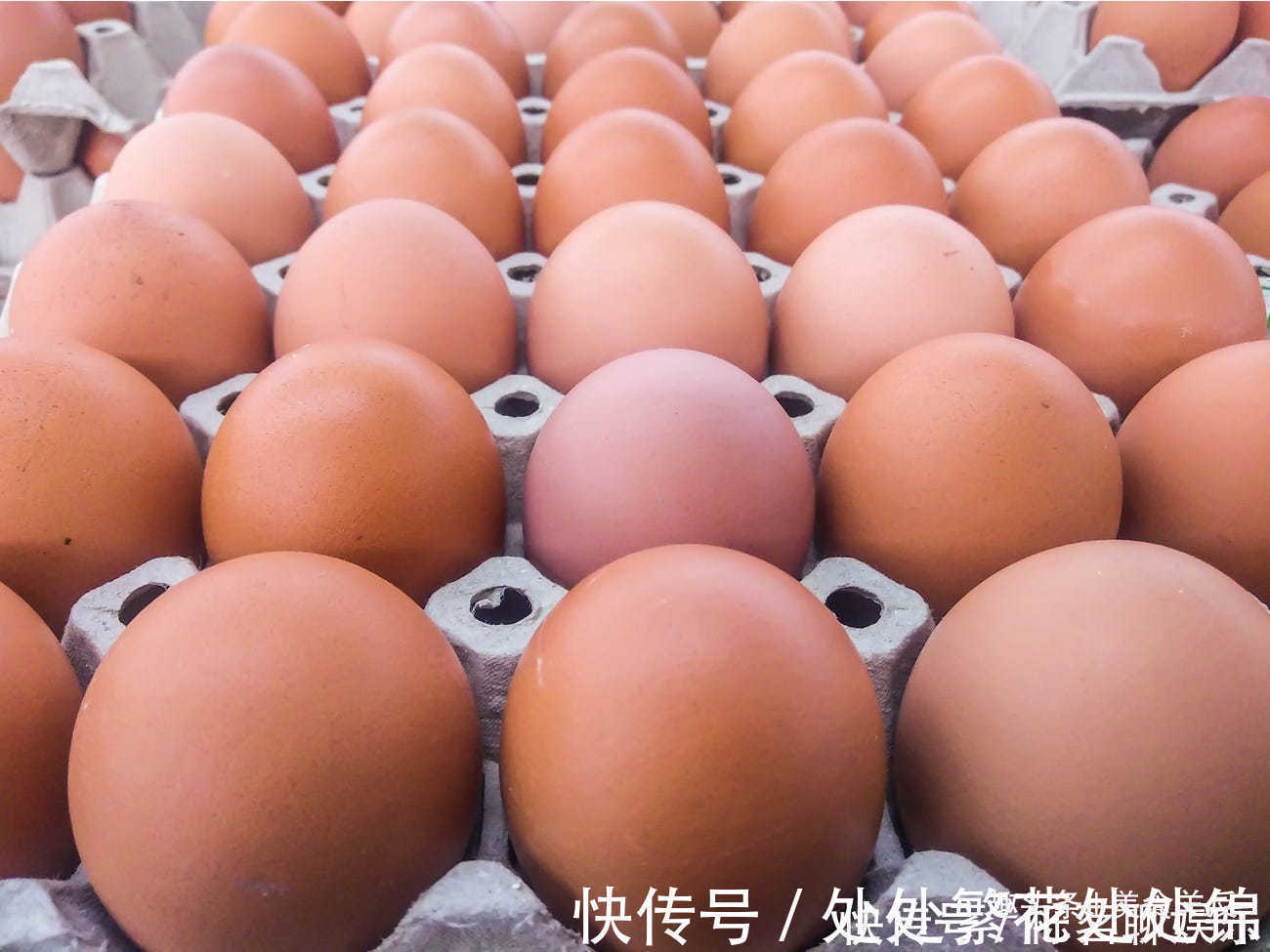 奶酪|牛奶和鸡蛋不要放在冰箱门里18种错误储存食品和食材的方法