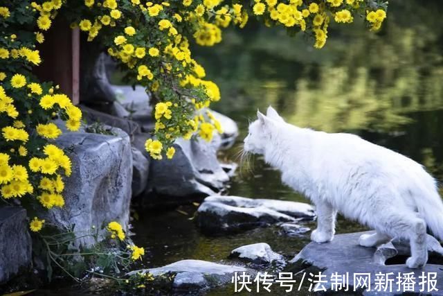 绝美景色|那些只有在秋天才能看见的绝美景色!