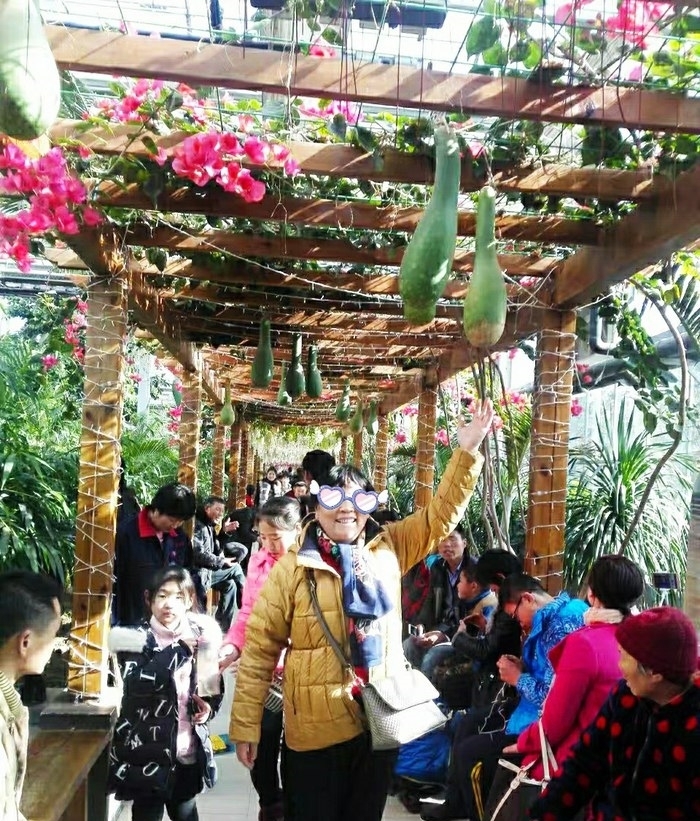 蔬果|宋MAX，感受一下蔬果城堡的寧靜，欣賞彩色的自然