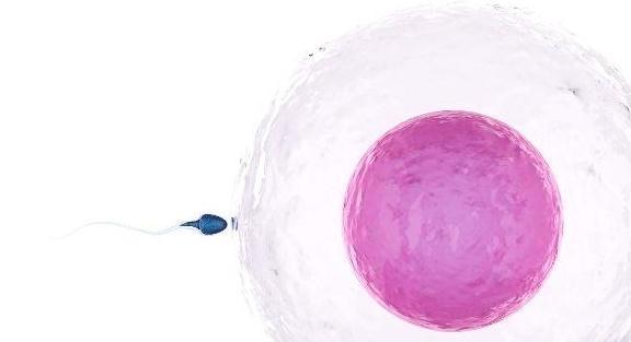 宝宝|夫妻间相差几岁,生出的孩子比较聪明?答案可能和你想的不一样