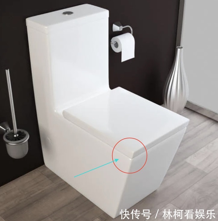 管道|卫生间马桶用虹吸式还是直排式用它防污能力最好，噪音最小