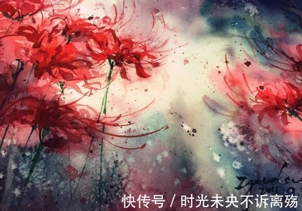 彼岸花的故事，颜色绚丽无比，花语充满彷徨跟追忆