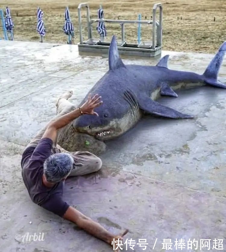 他创作出超写实的沙雕动物,一头用沙子堆成的公牛,引起轰动