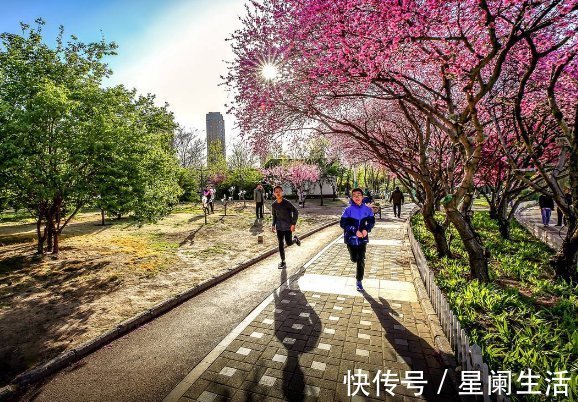 减肥|坚持每天跑步和隔一天跑一次的人，哪一个减肥更有利？