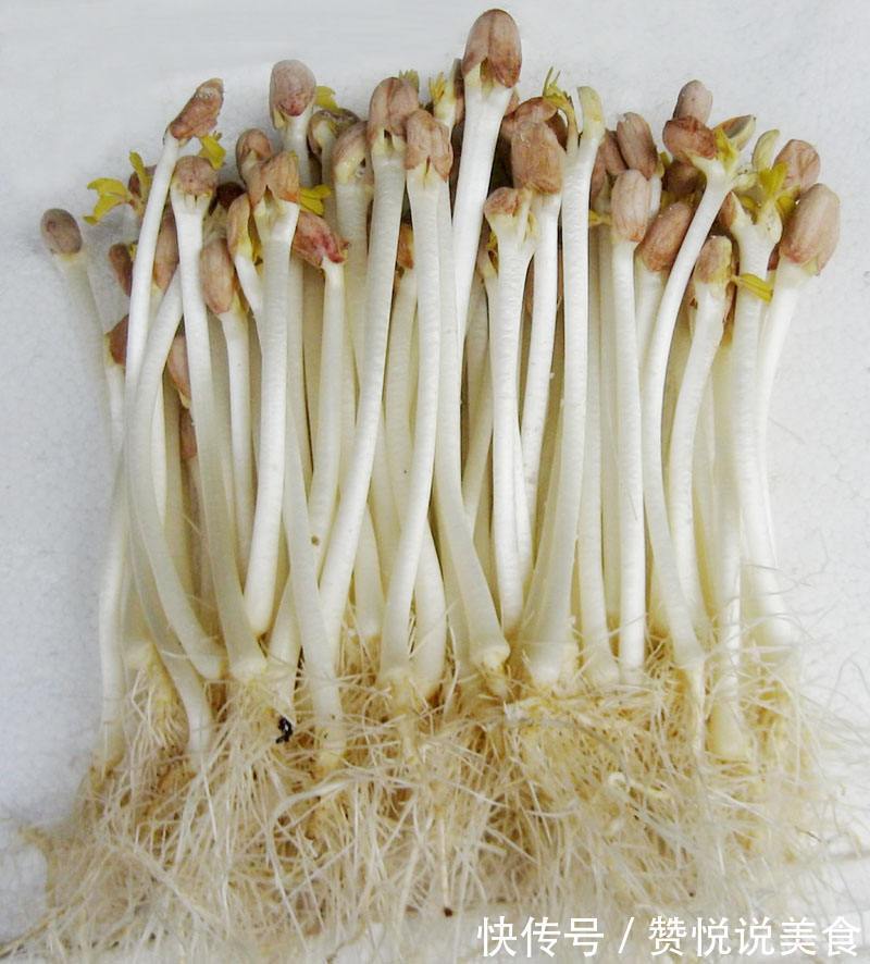 养颜|每天晚上坚持吃4种食物,排毒养颜、延缓衰老,早吃早好