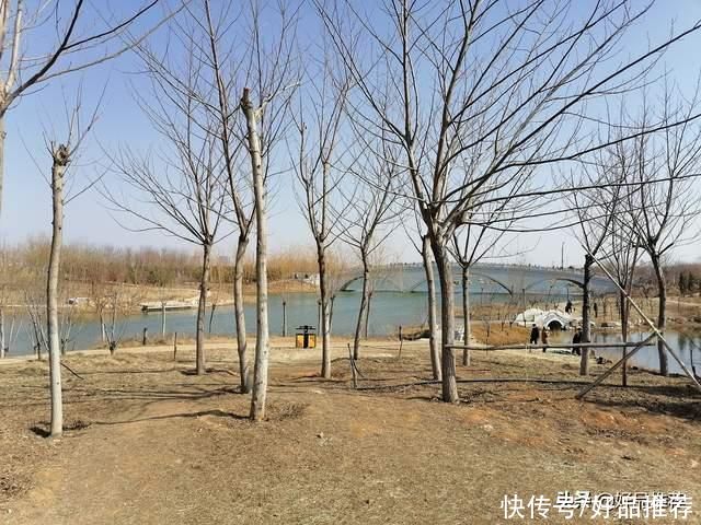 中年|龙泉湖湿地公园游记