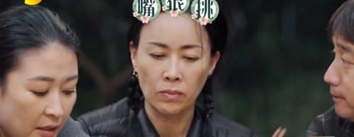 黄老师|《向往5》黄磊厨艺遭质疑，那英一番话撕开遮羞布，何炅顿时尴尬