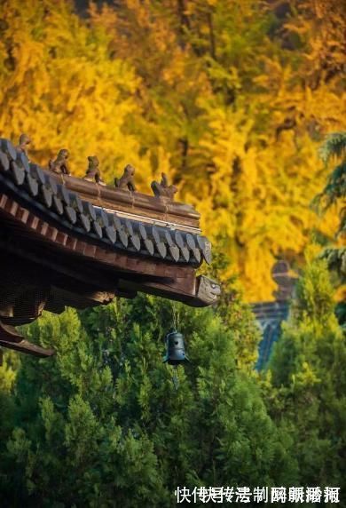 释文珦#诗僧笔下的秋天,不仅有最美的秋色,还有浓浓禅意,令人回味无穷