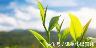 氨基酸洗面奶|这几款洗面奶用过一次就上瘾！第1支比400多的香奈儿还好用