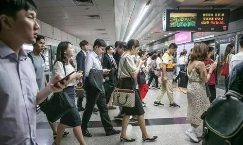真相|月入一万难买房?泡菜99%来自中国?去了韩国我才知道的10个真相