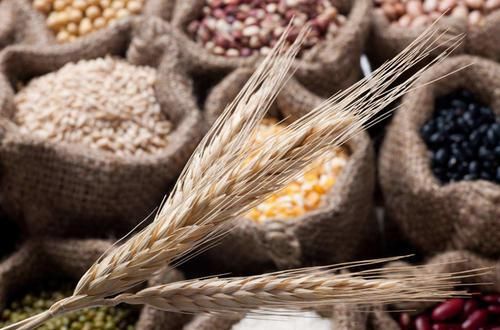  养生|养生以脾胃为先，脾胃最喜欢你吃什么？吃对了脾胃就不会总找麻烦