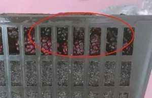 食物包装“过度”多坑人,网友吐槽都是“障眼法”,买了就后悔