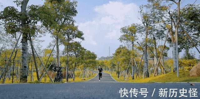 跑鞋 这一双全能跑鞋真心不错!