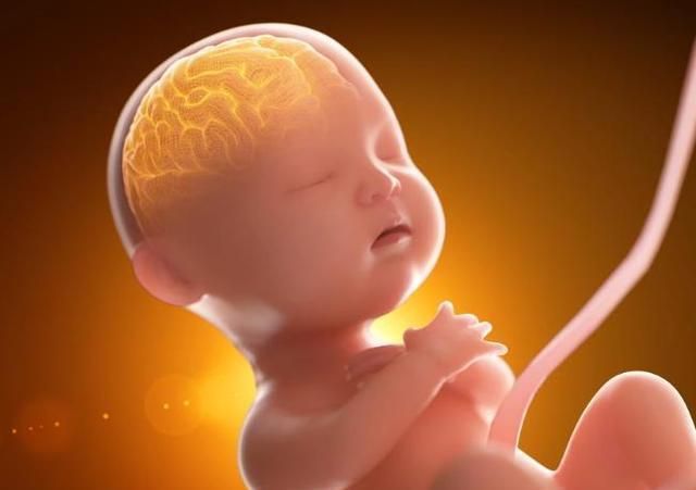 矿物质|“坚果”是孕妈妈的零食首选,但这两种坚果要慎选!