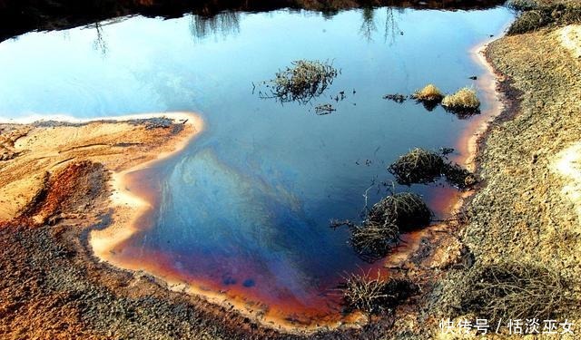 内河|城市内河的秘密!吃货们请管住嘴!垂钓的野生鱼最好不要食用