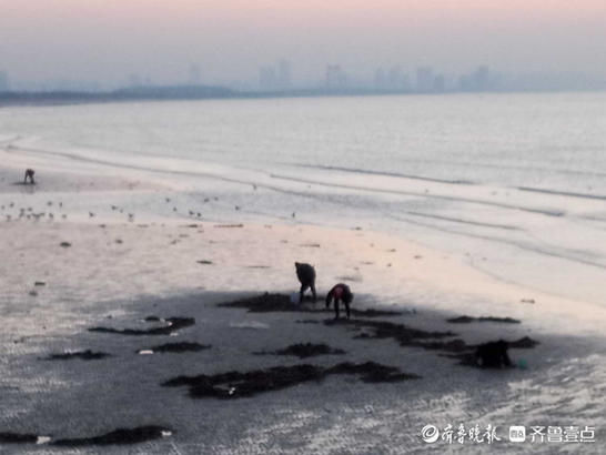 中年|情报站｜夕阳染红了烟台的海边，余晖布满海面惊艳游人