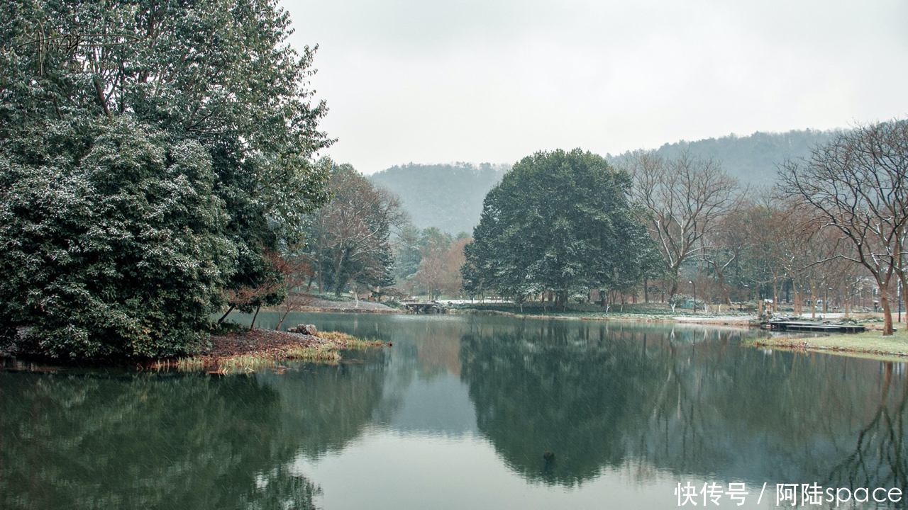 杭州的初雪，总是来得那么突然，使美景更添诗意