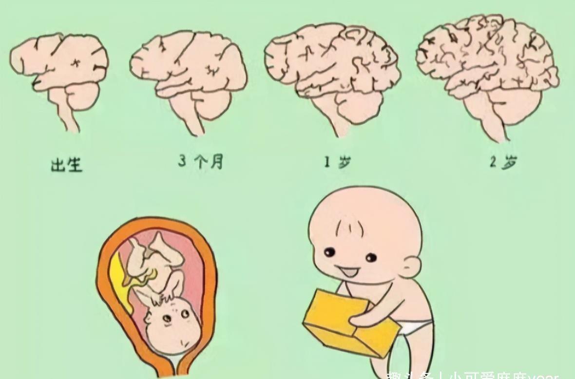 记忆力|孩子有以下特征,说明右脑发达,好好栽培很可能成为“学霸”