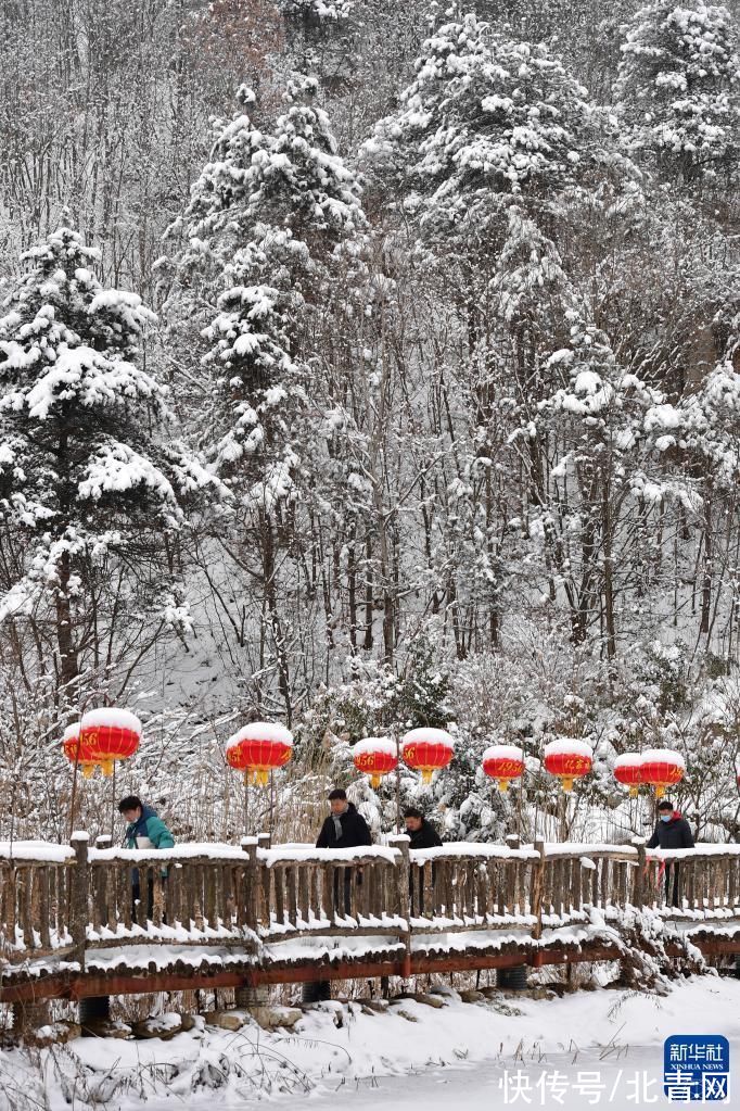 景色|陕西宁陕：雪后风光