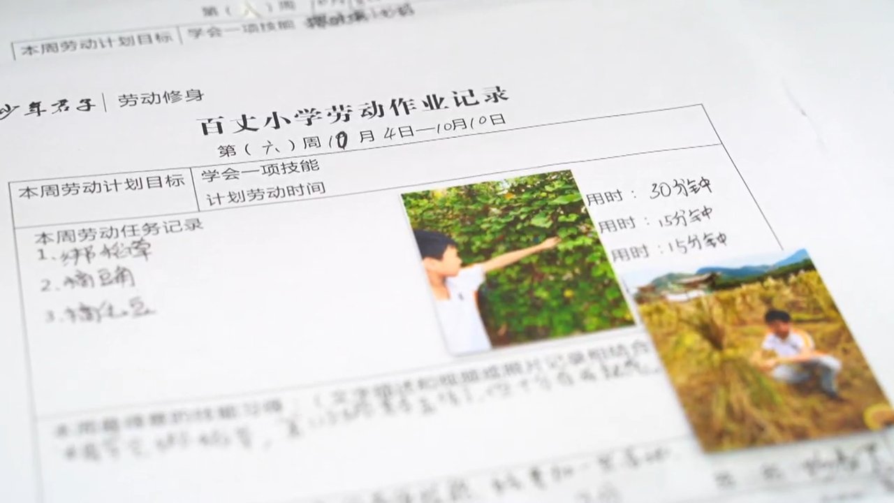 温岭市百丈小学|温岭：特色作业 特色课程 让“双减”工作走深走实