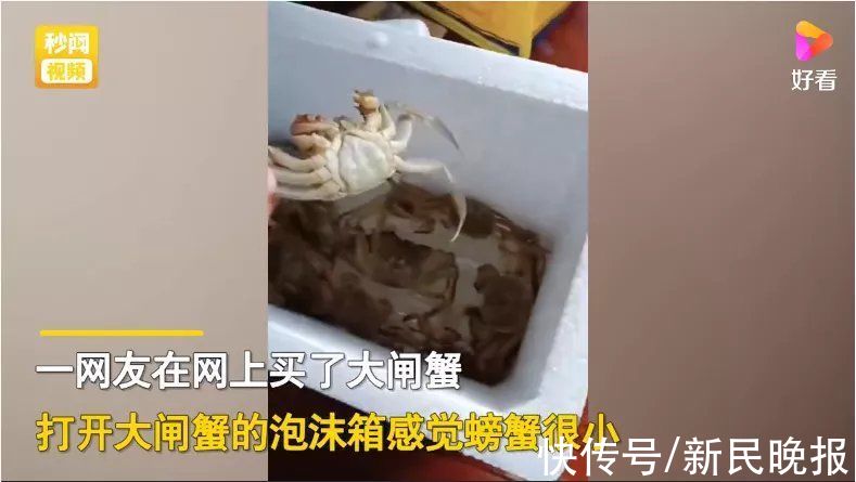 快递|68元网购20只大闸蟹！男子打开快递瞬间懵了！意想不到哈哈哈