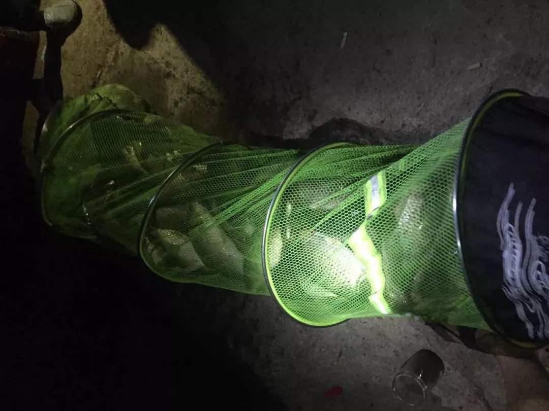 久钓不上鱼,想过什么原因吗?教你一招,轻松就搞定!