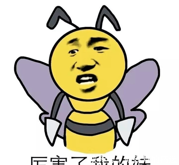 |笑话:看你们读了这么多年圣贤书,就不知道尊重一下这只残疾的鸭