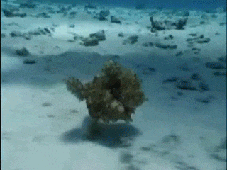 |搞笑GIF:姑娘 你穿的这是裙子吗