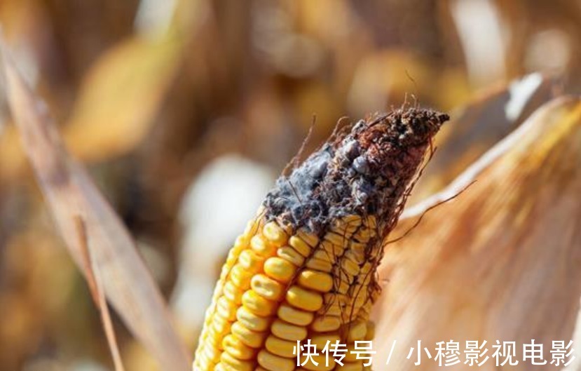 熬夜|32岁女子滴酒不沾,查出肝硬化晚期,医生忠告:比喝酒和熬夜更伤肝的是它