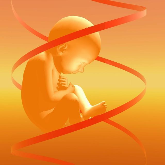 后壁|胎盘前壁和后壁有什么区别3个区别很重要,3个区别可忽视