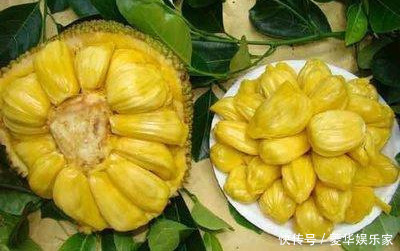 营养|每天可以多吃3种食物，补充营养、改善体质，好处多多