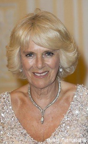 伊丽莎白 卡米拉的蛇形项链20年前做情人时查尔斯送的,蛇蝎气质一目了然