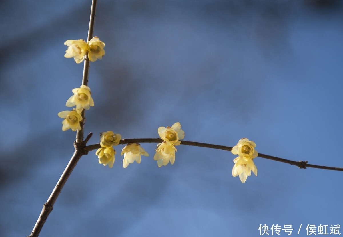 腹有诗书气自华，飞花令里读诗词——100句（送）篇