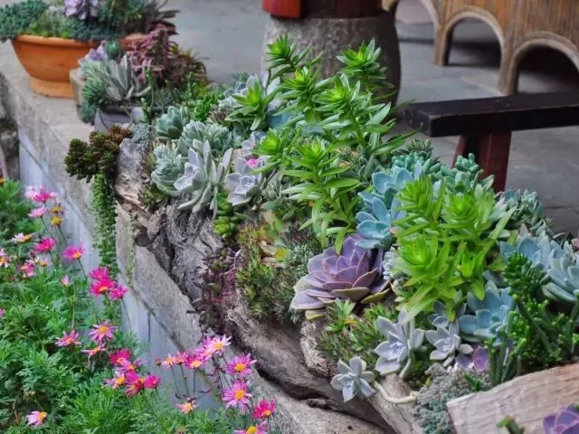 天下风物——《中国最美的尼姑庵，不烧香只种花！（一）》风光题照