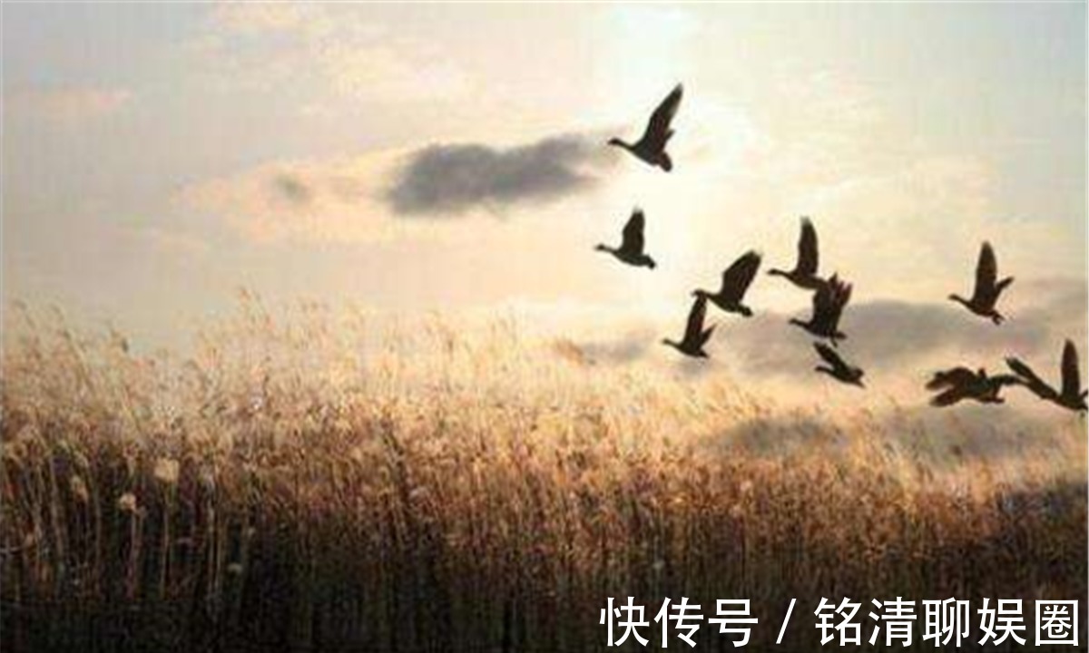 边疆$北宋奇才范仲淹,写下一首《渔家傲秋思》,可谓传世之经典