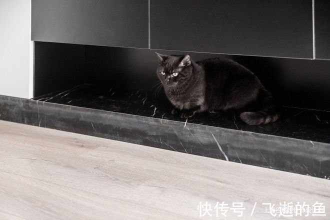 餐厨|62㎡小户型解读年轻人眼中的家