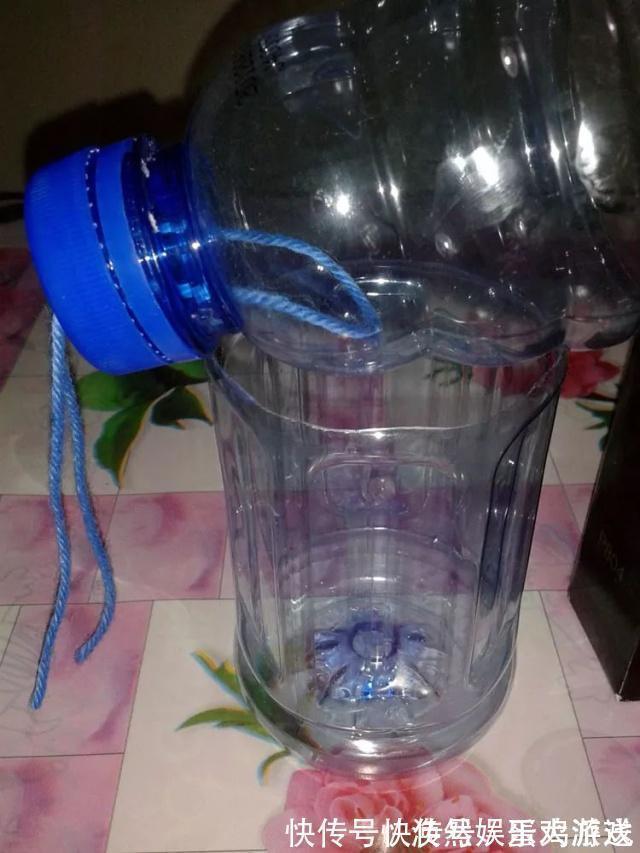 扦插|家庭养花,塑料瓶是“宝贝”,学会5个使用“小妙招”,一生受用