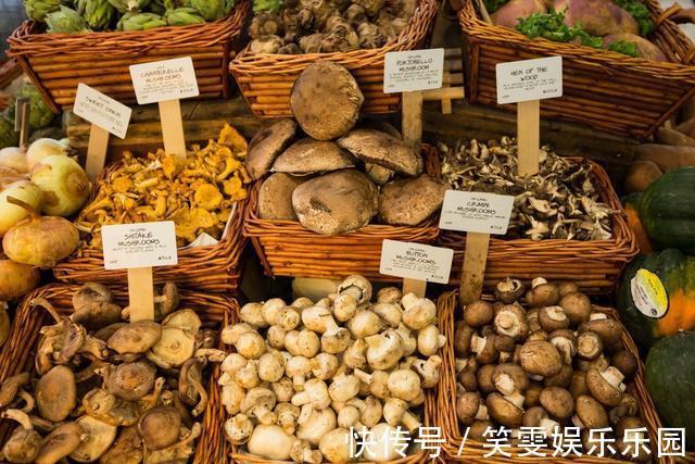 瘦身|瘦身最快的7款高蛋白质食物,比吃减肥药还厉害!减肥朋友收藏好