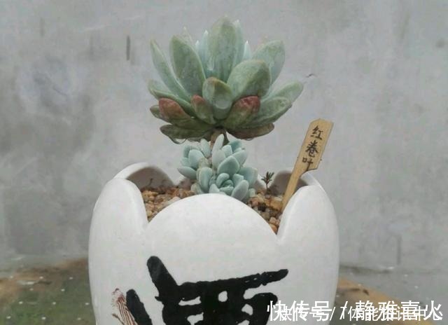 切割机|花盆买不起,自己动手做,好看又实用!花盆买不起,自己动手做,好看又实用!