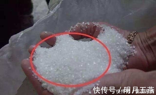 饺子这样包, 一锅下来全家都吃到停不下嘴!