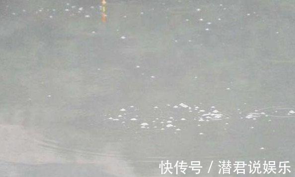 小鱼多|夏季钓鱼钓位很关键,不想当空军就别频繁换钓位!
