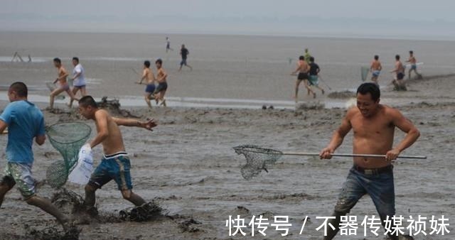 长江君|水里发生了什么？钱塘江大量鱼群乱跳，江边钓鱼人：这是潮头鱼