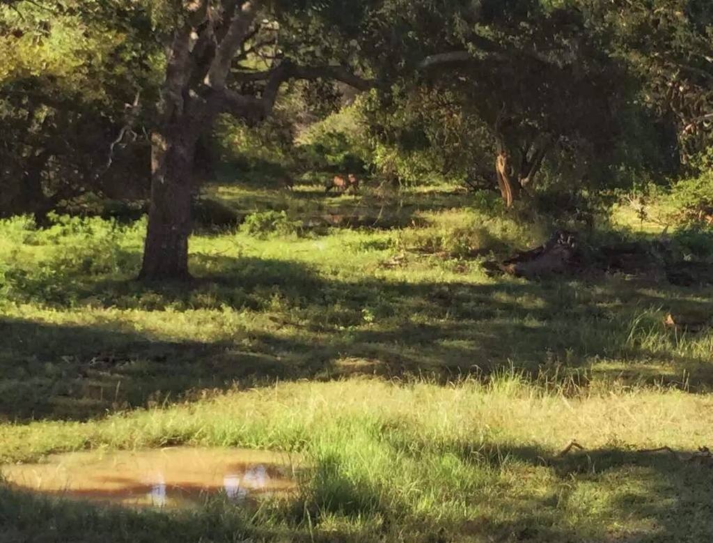 独特|外国王子到中国逃难,在中国生根发芽,还因此产生一独特姓氏