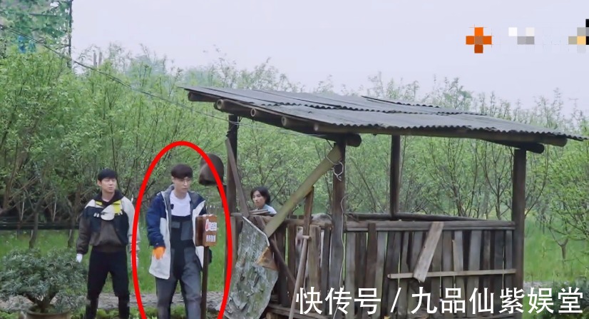 子枫妹妹|张艺兴被彩灯吓到大叫,转身扑进何炅怀里,子枫妹妹的表情成焦点