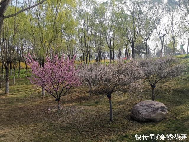 事物|让读者感受到所描述事物的真实