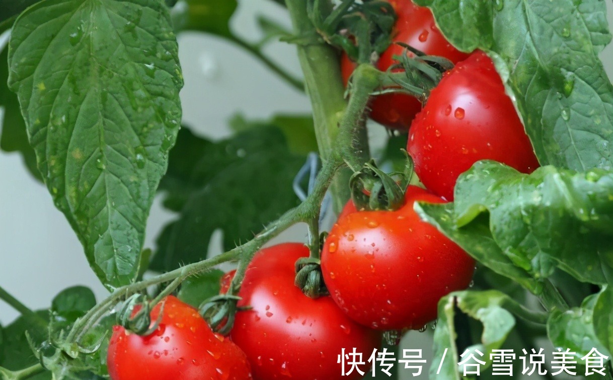 食物|女人肚子和下半身赘肉多时，尽量多吃3种食物，或许有助身材苗条