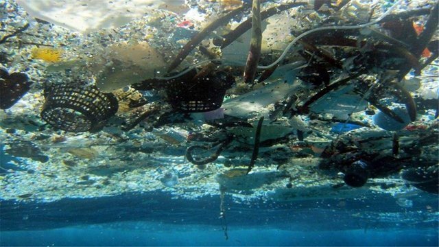 传回 自3900米海底传回一组照片，我国曝光海底真面目，各国需警钟长鸣